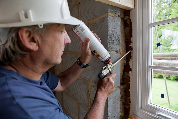 Best Spray Foam Insulation  in Elbow Lake, MN